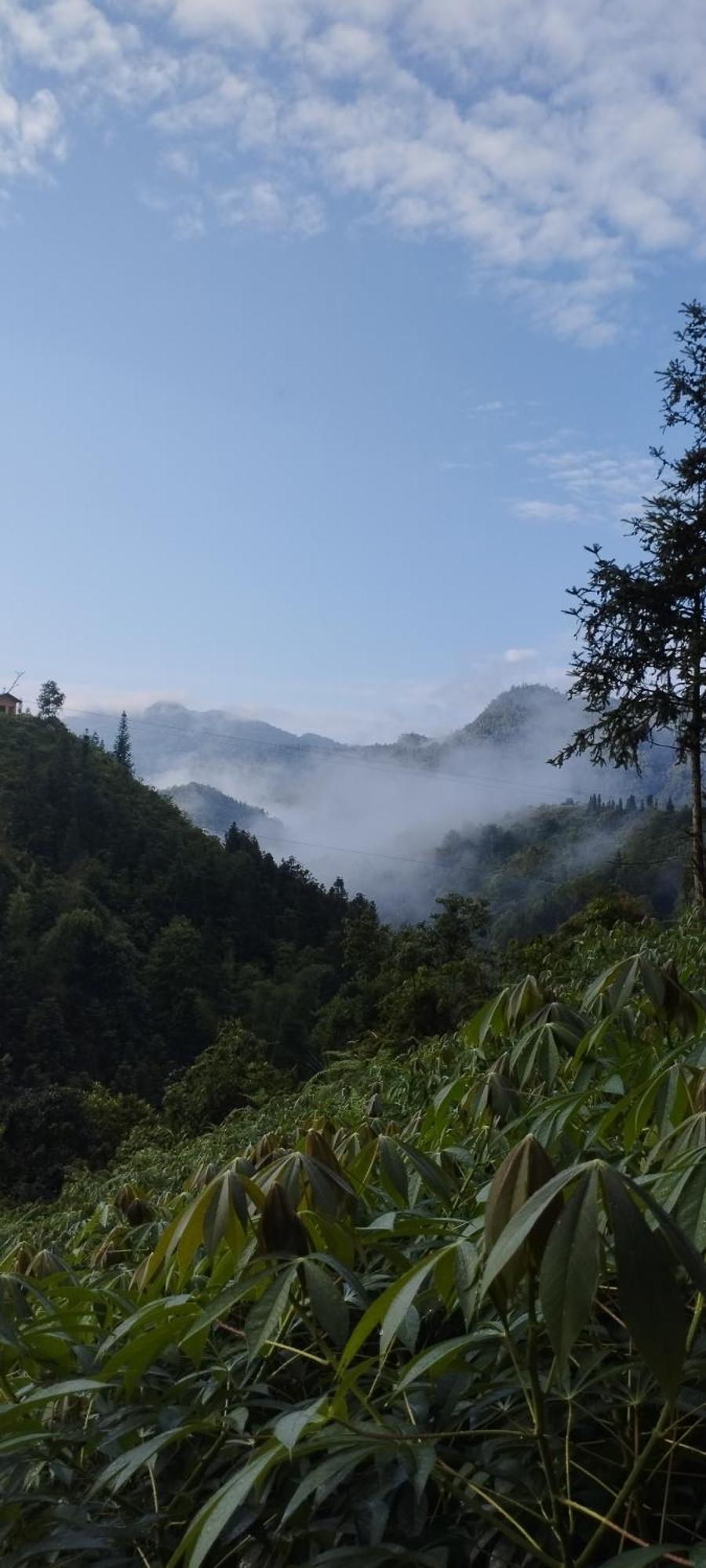 Huy Man Homestay Ha Giang Exterior foto